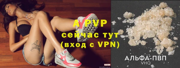 гашик Ессентукская