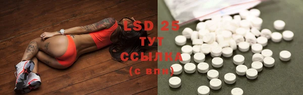 прущий лед Ладушкин