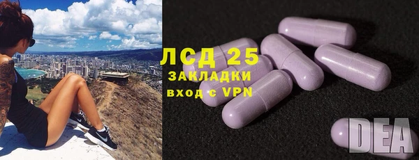 PSILOCYBIN Краснотурьинск