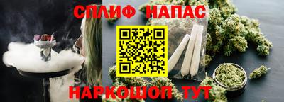 хмурый Дубна