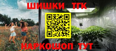 хмурый Дубна