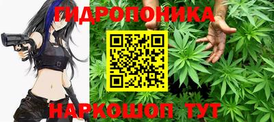 хмурый Дубна