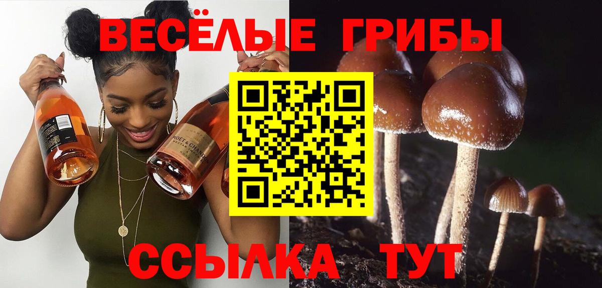 Псилоцибиновые грибы MAGIC MUSHROOMS  Псилоцибиновые грибы Magic Shrooms  Мелеуз  Вход с VPN 